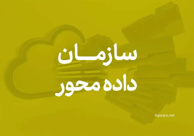 سازمان داده محور چیست و چه ویژگی هایی دارد؟ 