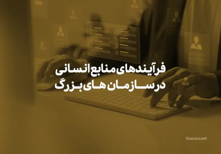 human resource processes in large organizations4