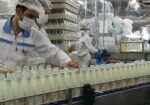 Iranian-Dairy-Industries